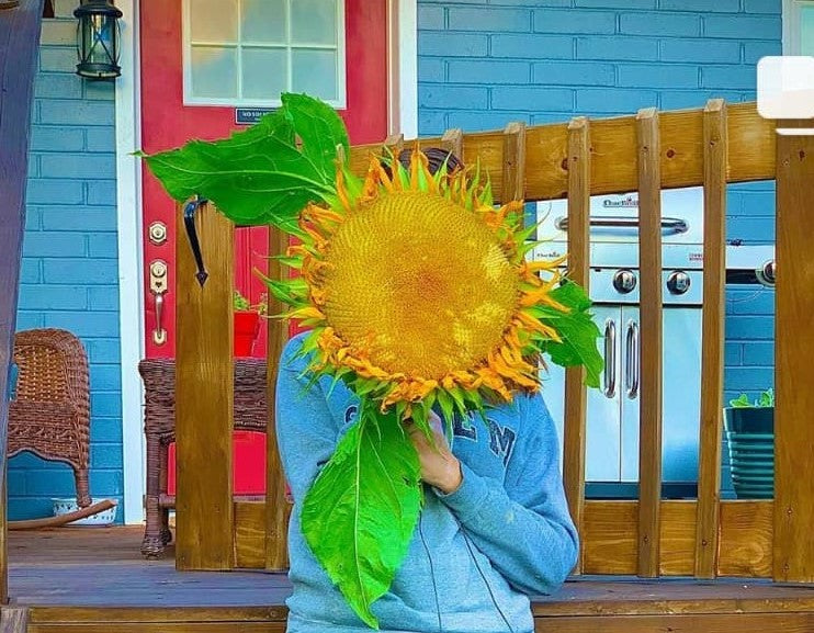 About Me: Founder & Owner of Sable Satin Moon