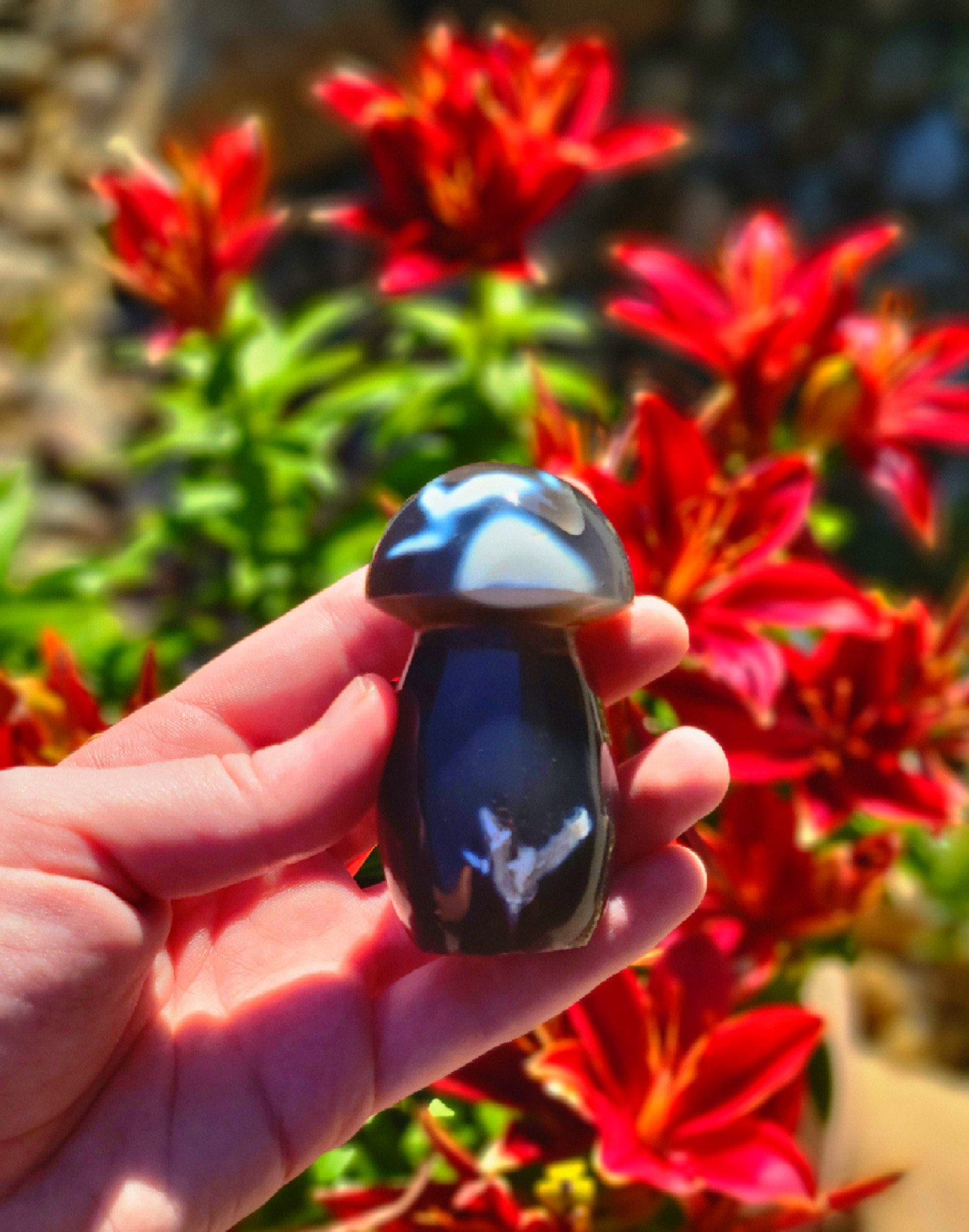 Orca Agate Mushroom