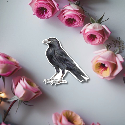 Black Raven Sticker