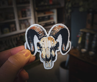 Hand holding a sticker of a ram's skull with large curved horns against a blurred indoor background.