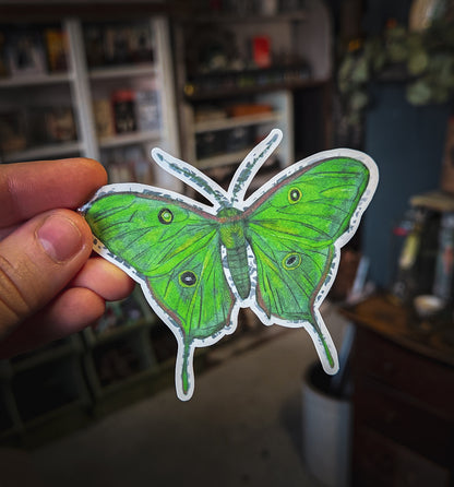 Hand holding a Luna moth sticker with a blurred indoor background