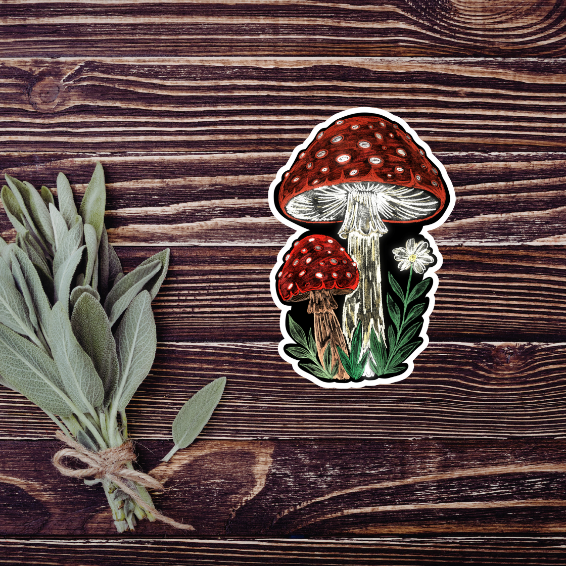 Red Mushroom Chalk Sticker