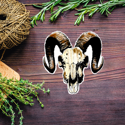 Ram Skull Sticker