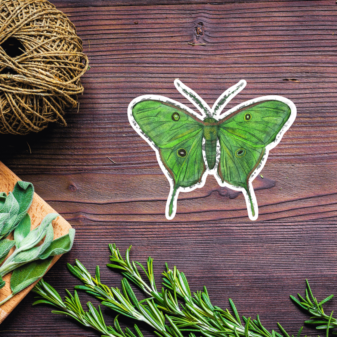 Luna Moth Sticker