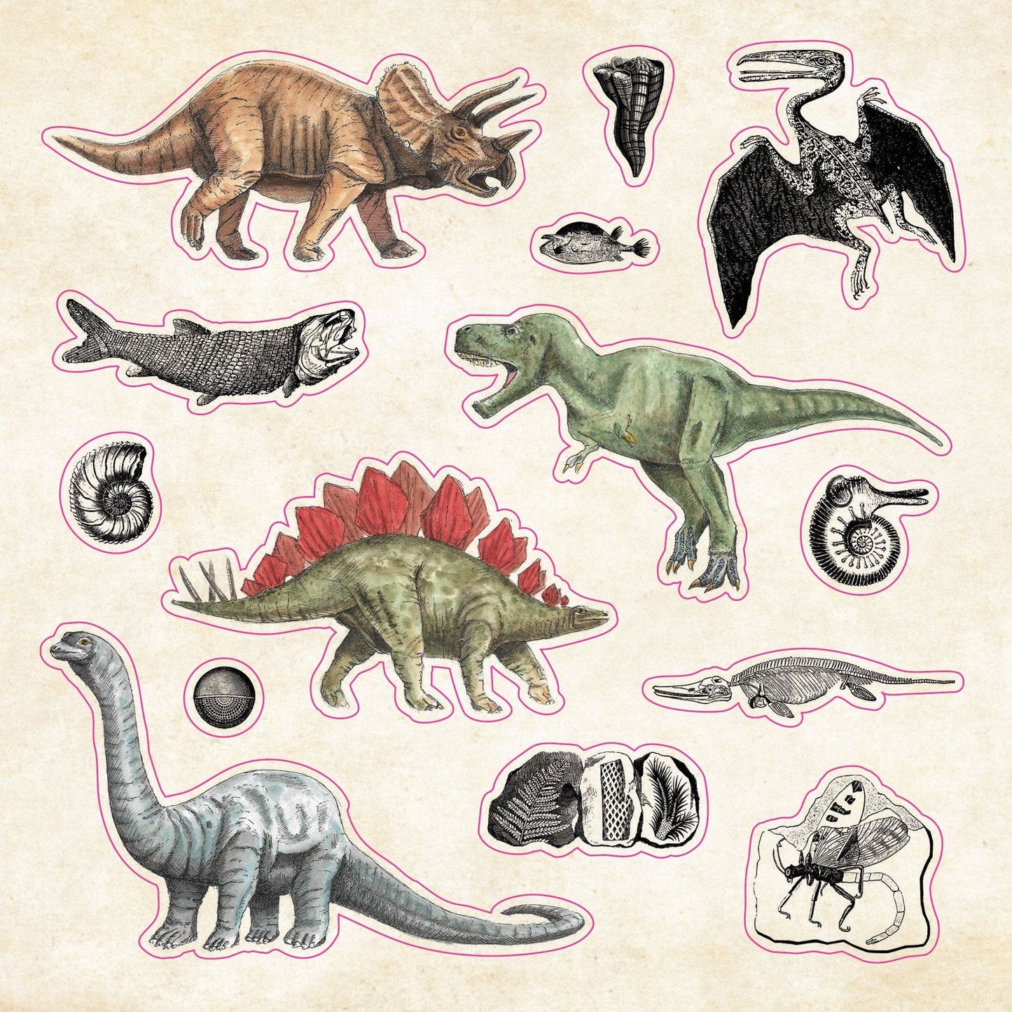 The Sticker Book of Curiosities