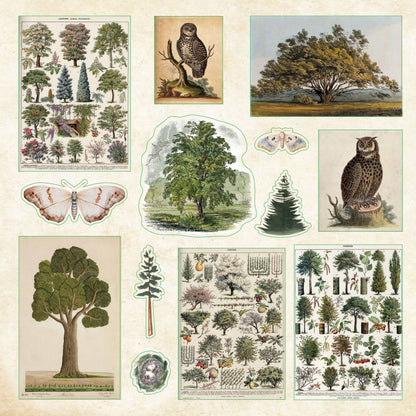 Enchanted Forest Sticker Book