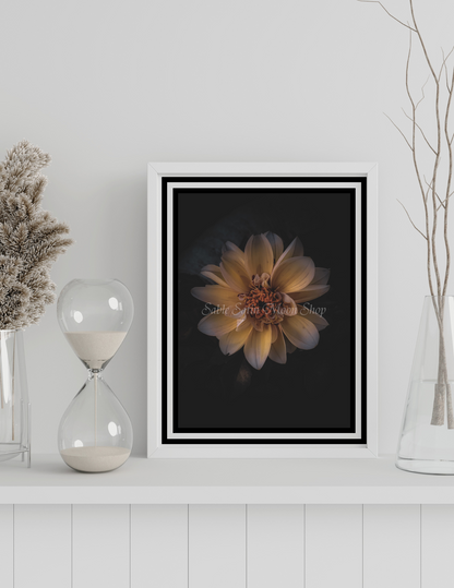 Photo Print- Dahlia