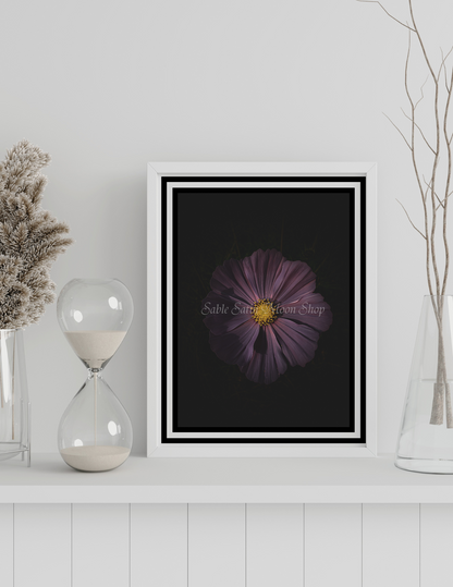 Photo Print-Flower