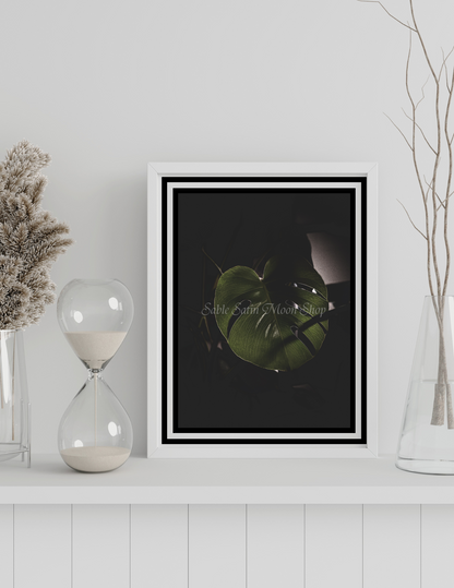 Photo Print- Monstera