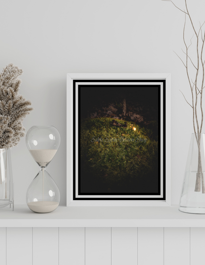 Photo Print-Moss