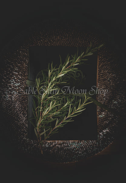 Photo Print-Rosemary