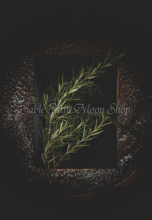 Photo Print-Rosemary