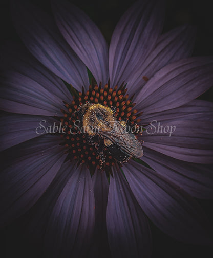 Photo Print-Bee