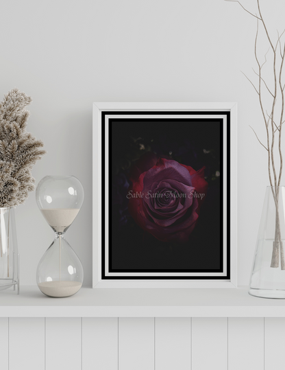 Photo Print-Rose