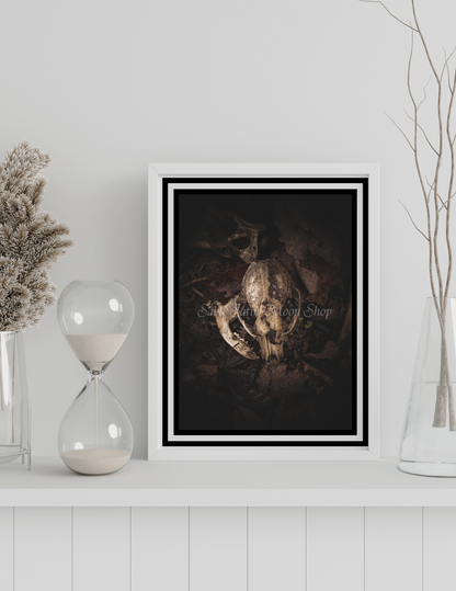 Photo Print- Skull